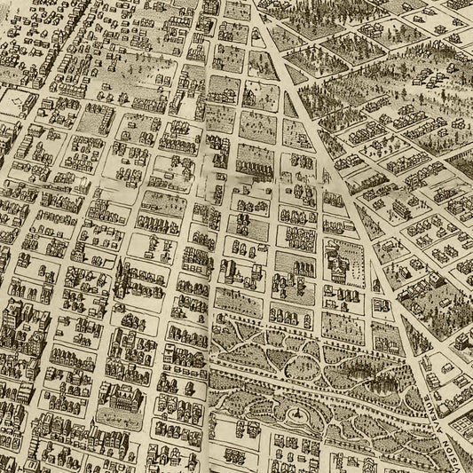 Vintage Map of Tacoma, Washington, 1893