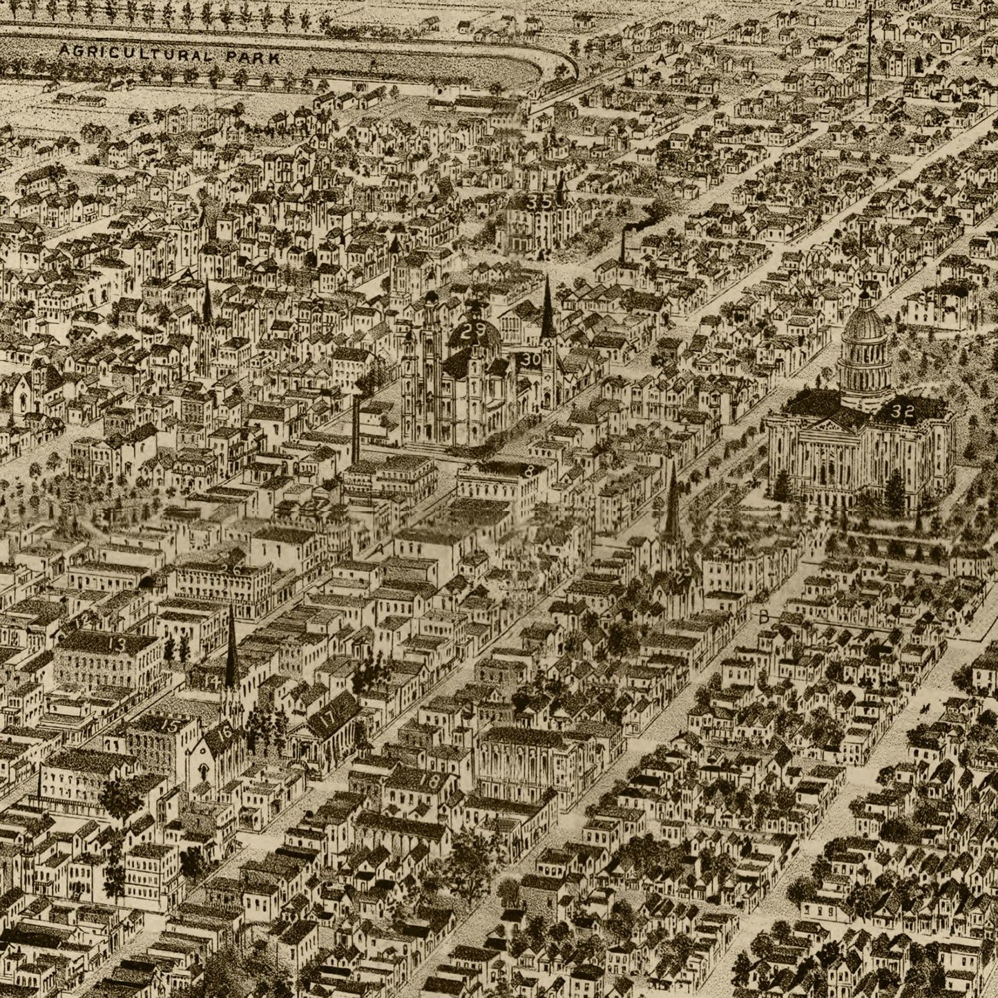 Vintage Map of Sacramento, California, 1890