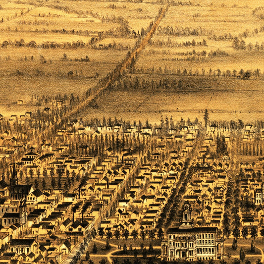Vintage Map of San Jose, California, 1875