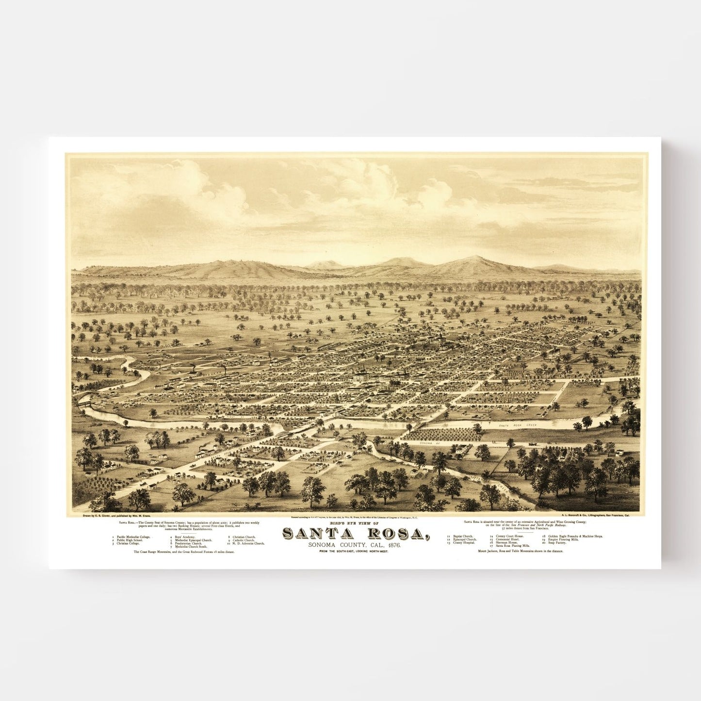 Vintage Map of Santa Rosa, California, 1876
