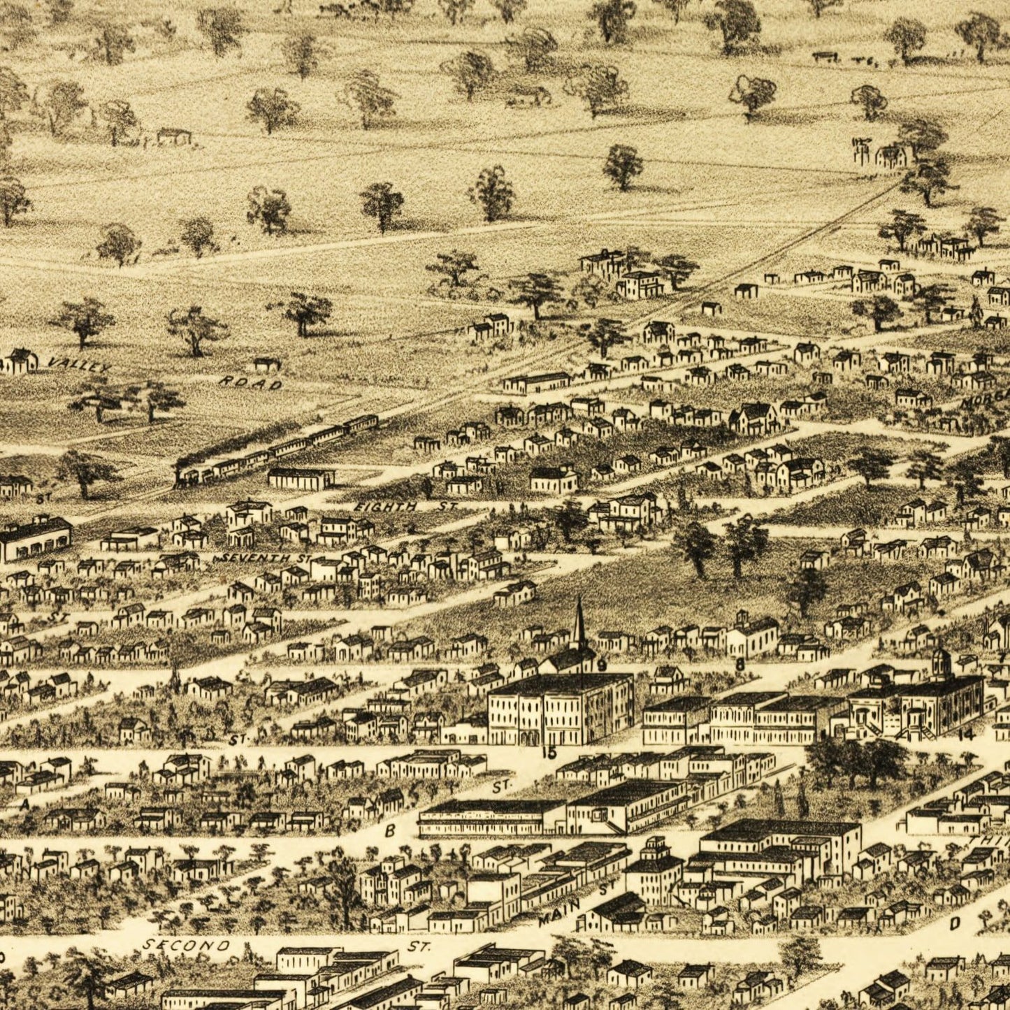 Vintage Map of Santa Rosa, California, 1876