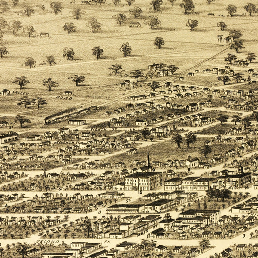 Vintage Map of Santa Rosa, California, 1876