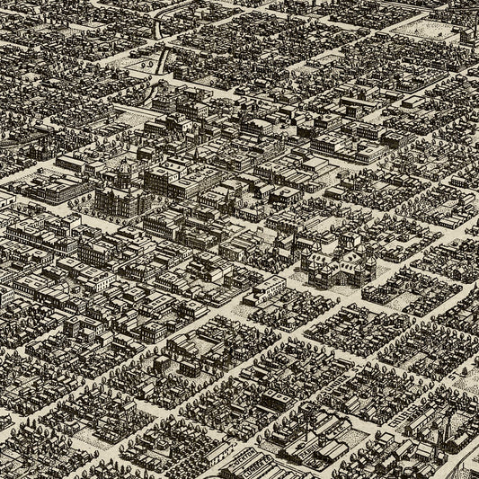 Vintage Map of Stockton, California, 1890