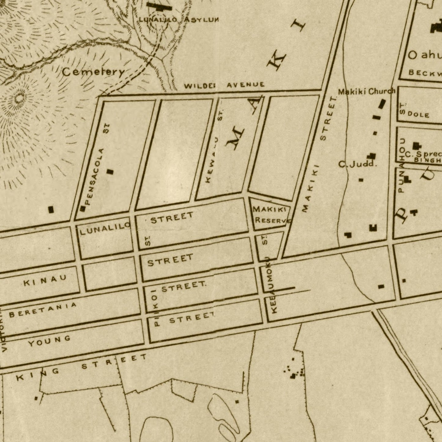Vintage Map of Honolulu, Honolulu County, Hawaii, 1887