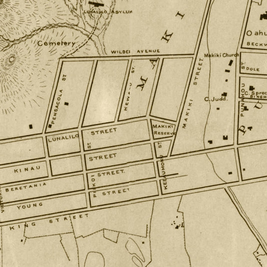 Vintage Map of Honolulu, Honolulu County, Hawaii, 1887