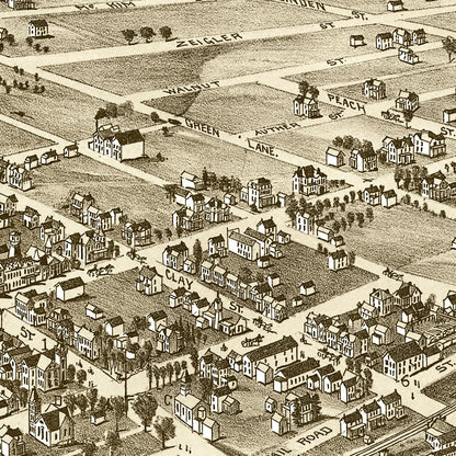 Vintage Map of Zelienople Pennsylvania, 1901