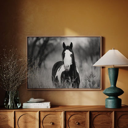 Wild Hearts Run Free Black and White Horse Wall Art