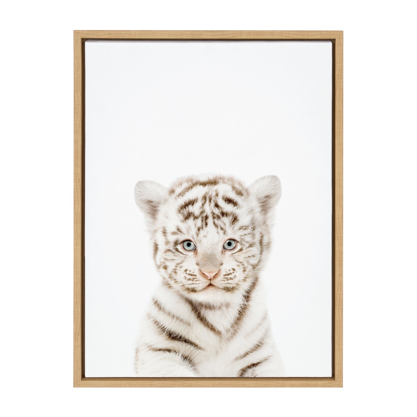 Baby White Tiger Framed Canvas Wall Art, Nursery Decor