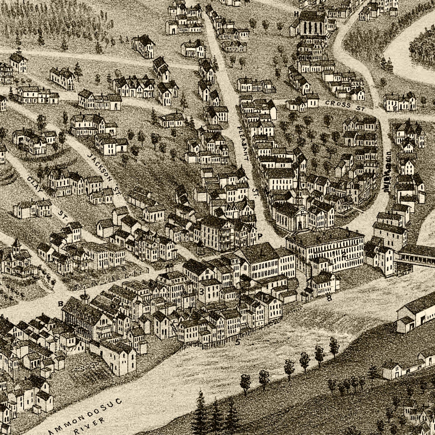 Vintage Map of Littleton, New Hampshire, 1883
