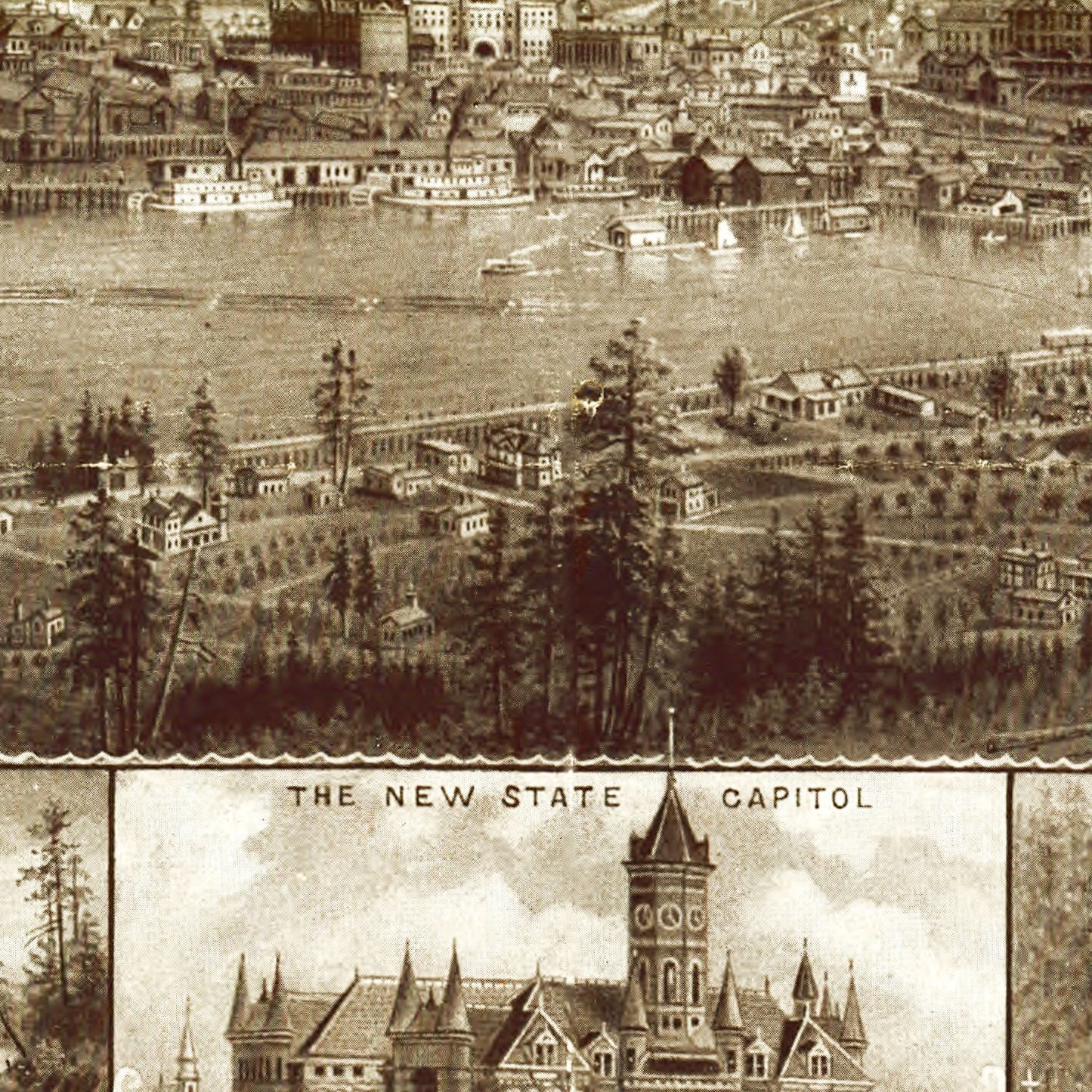 Vintage Map of Olympia, Washington, 1903
