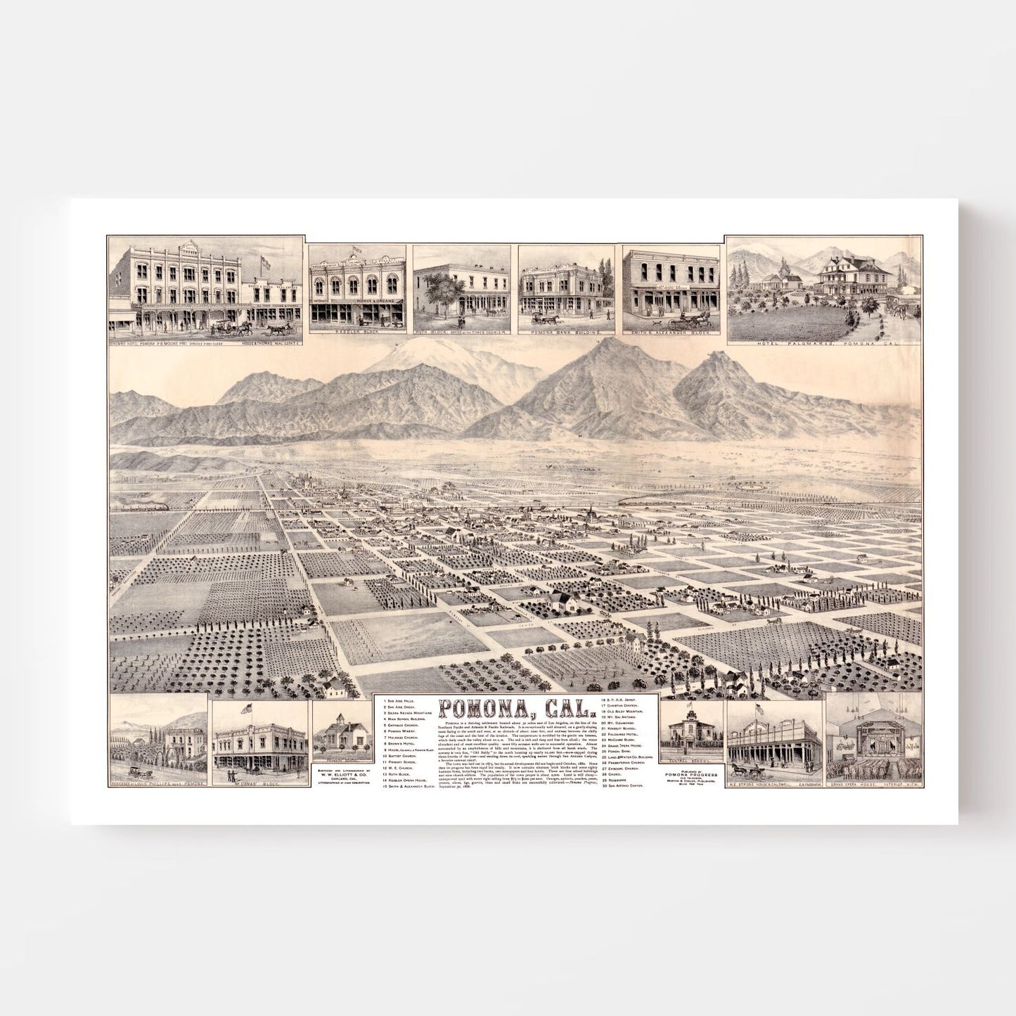 Vintage Map of Pomona, California, 1886