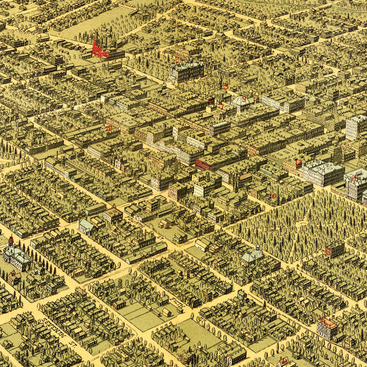 Vintage Map of San Jose, California, 1901
