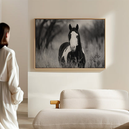 Wild Hearts Run Free Black and White Horse Wall Art
