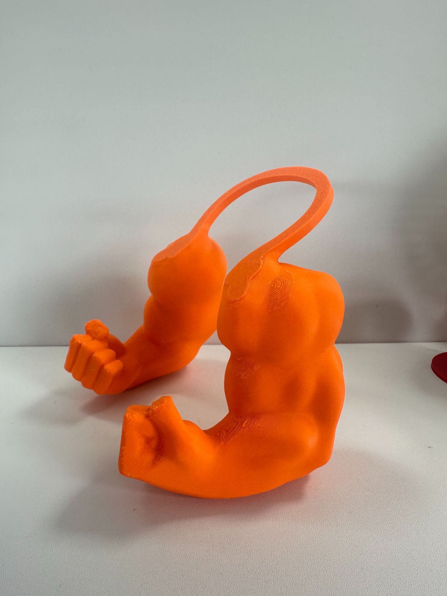 Cat Muscle Arms Costume – Instantly Transform Your Kitty into a Superhero