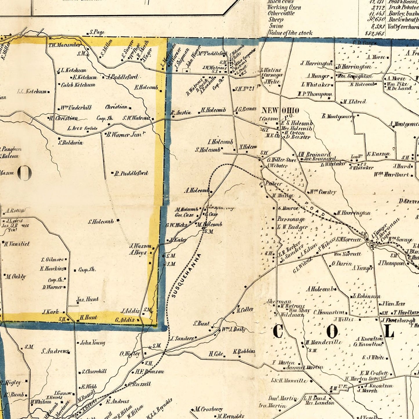 Vintage Map of Broome County, New York 1855 Wall Art