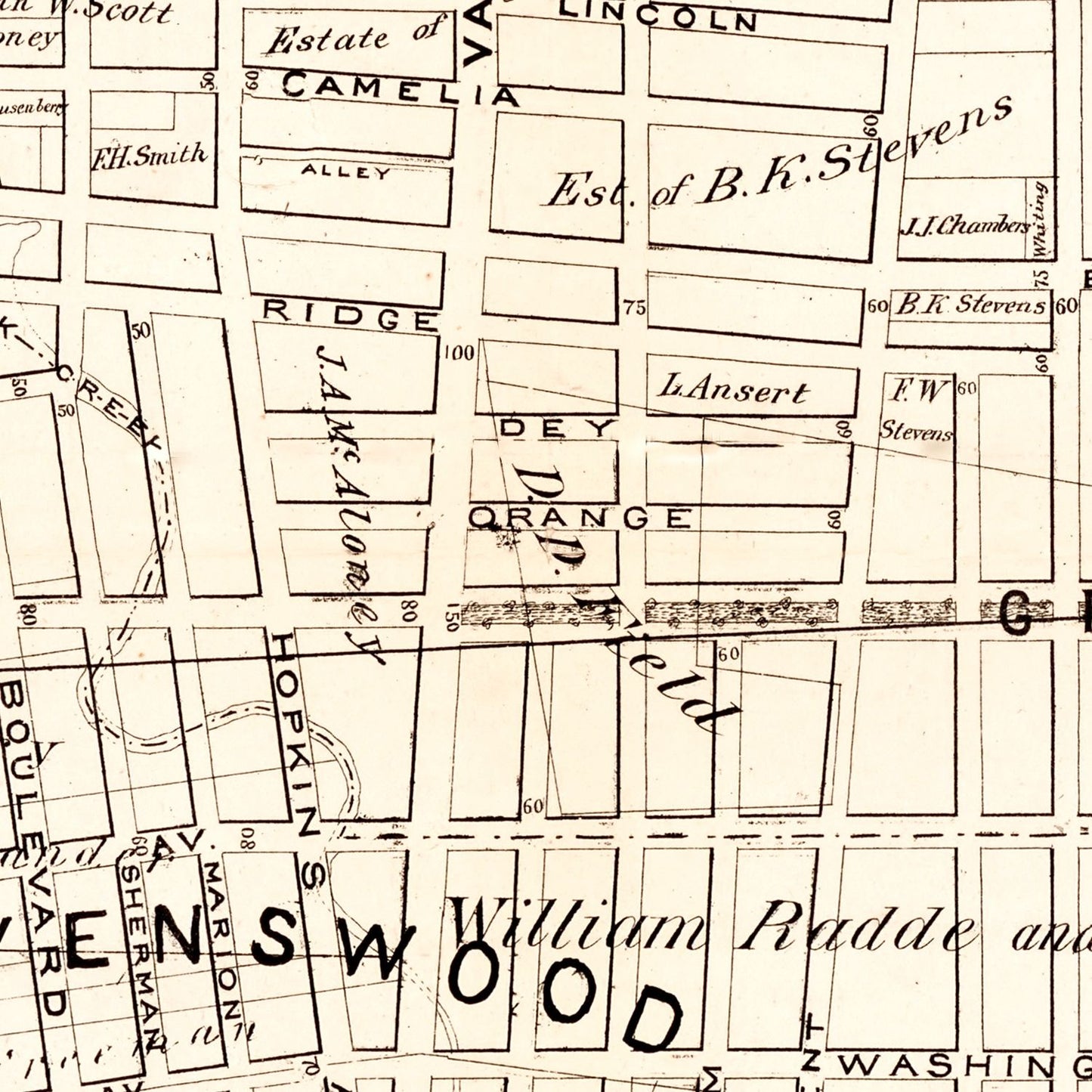 Vintage Map of Queens County, New York, 1874