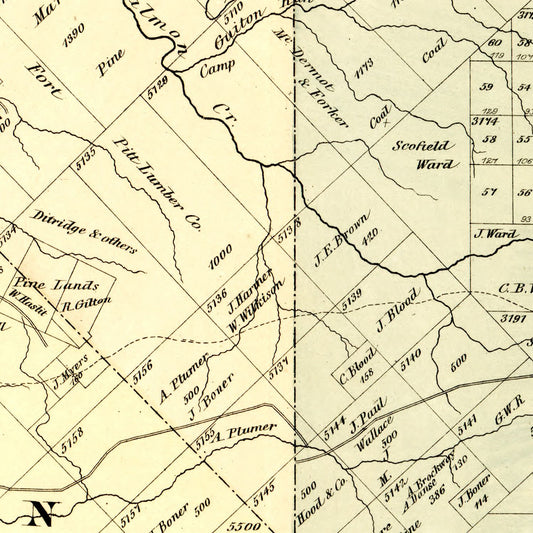 Vintage Map of Forest County, Pennsylvania, 1876