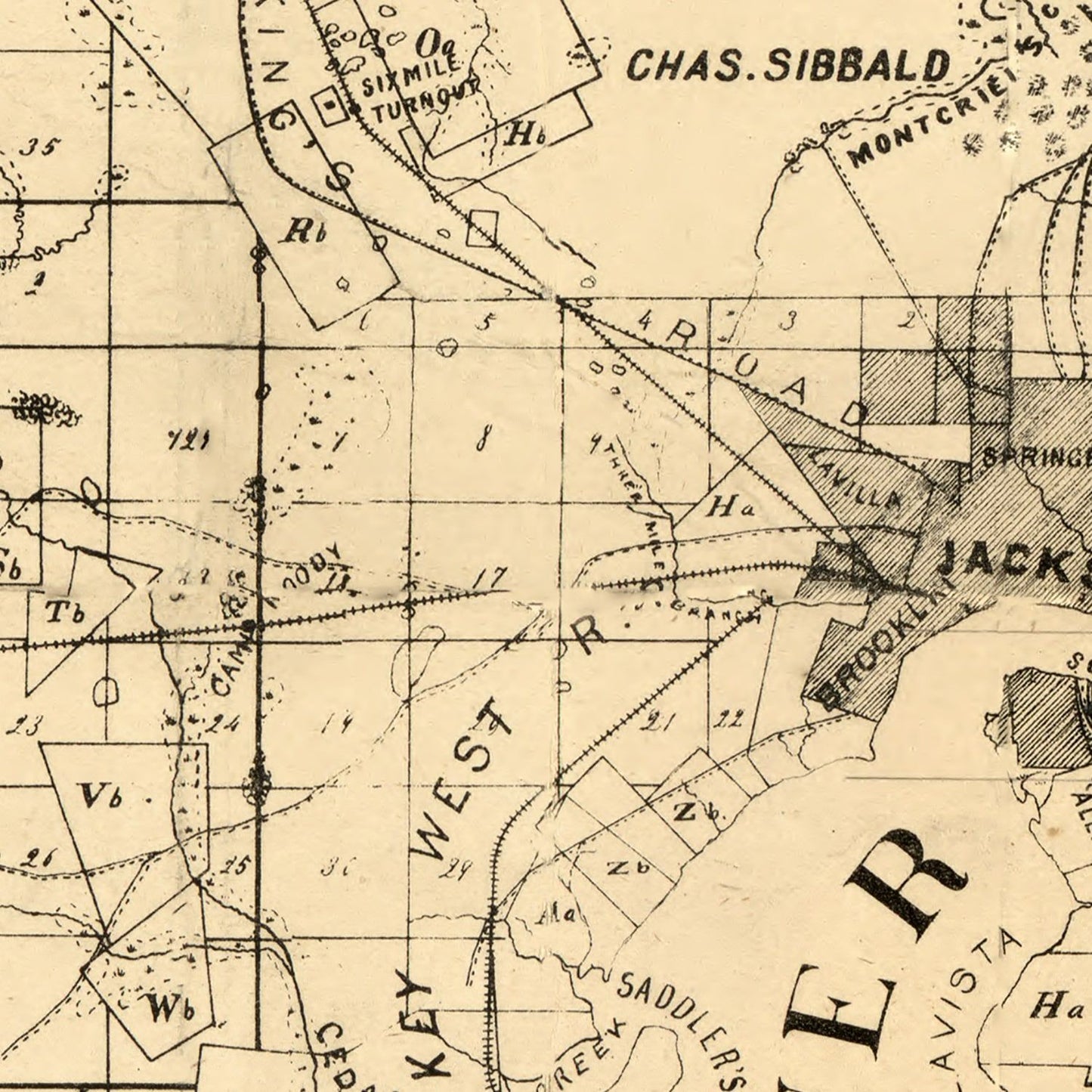 Vintage Map of Duval County, Florida, 1885