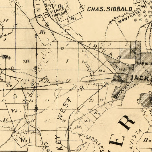Vintage Map of Duval County, Florida, 1885