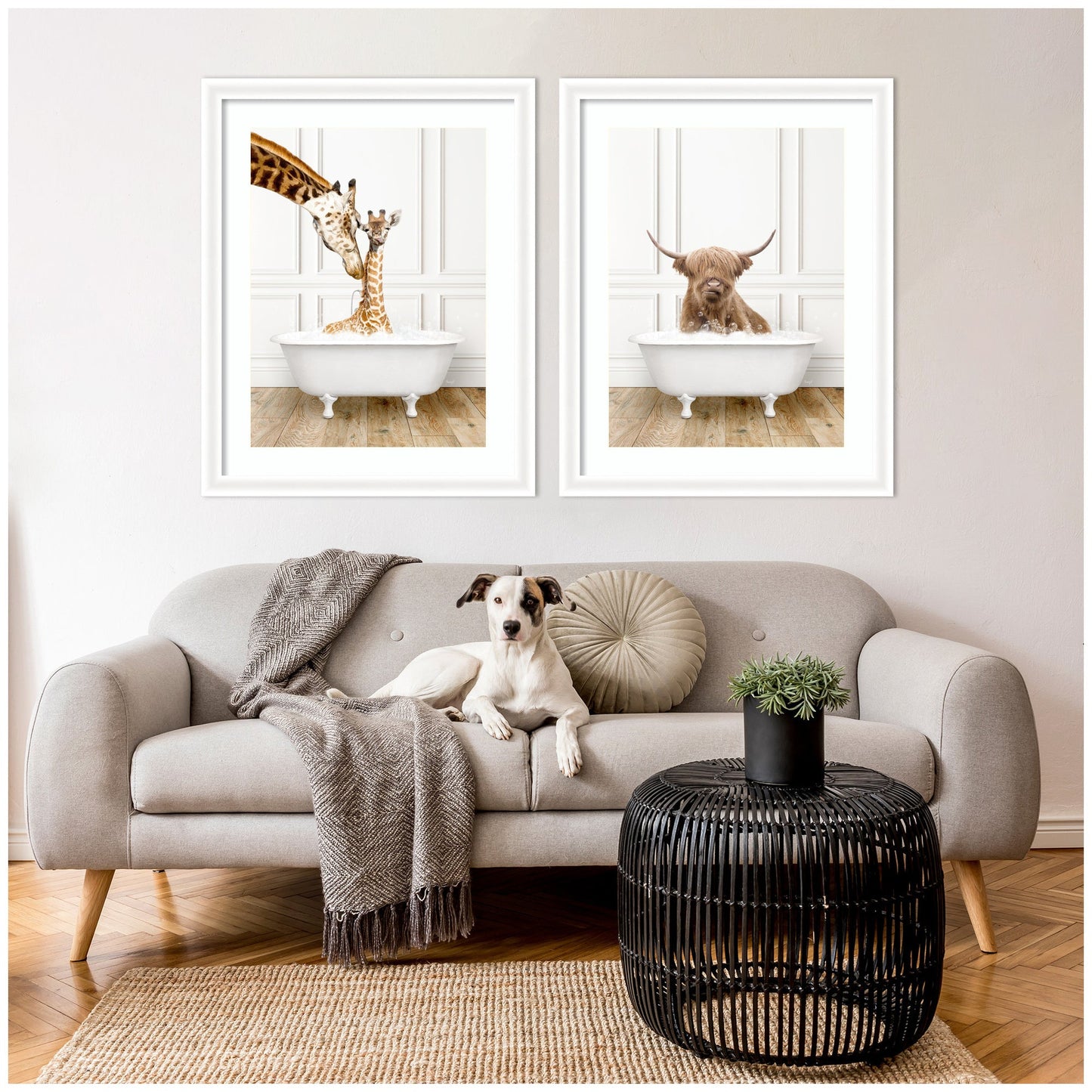 Highland Cow and Giraffe in Bathtub 2 Piece Framed Canvas Art Set