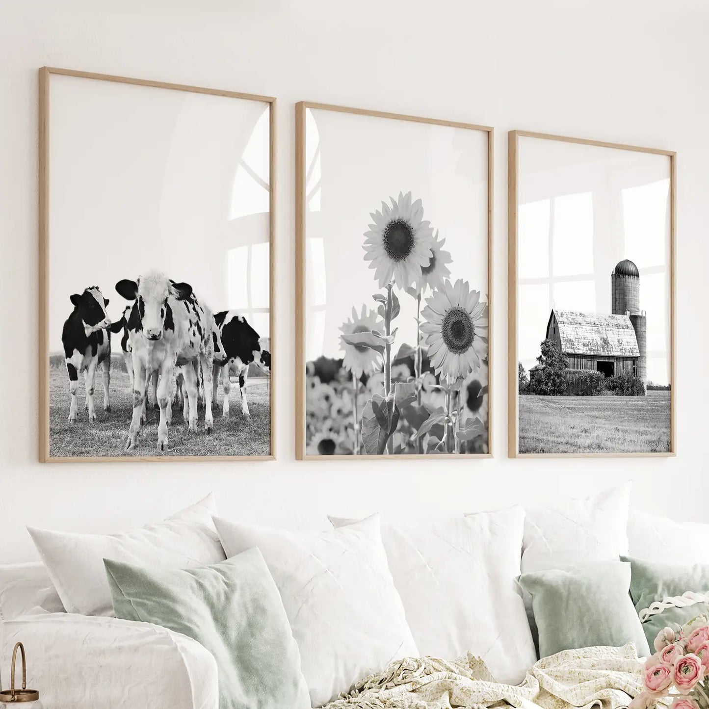 Black and white rustic farm 3 piece wall art set with cows, barn, and sunflowers