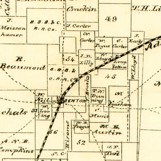 Vintage Map of Denton County, Texas, 1870