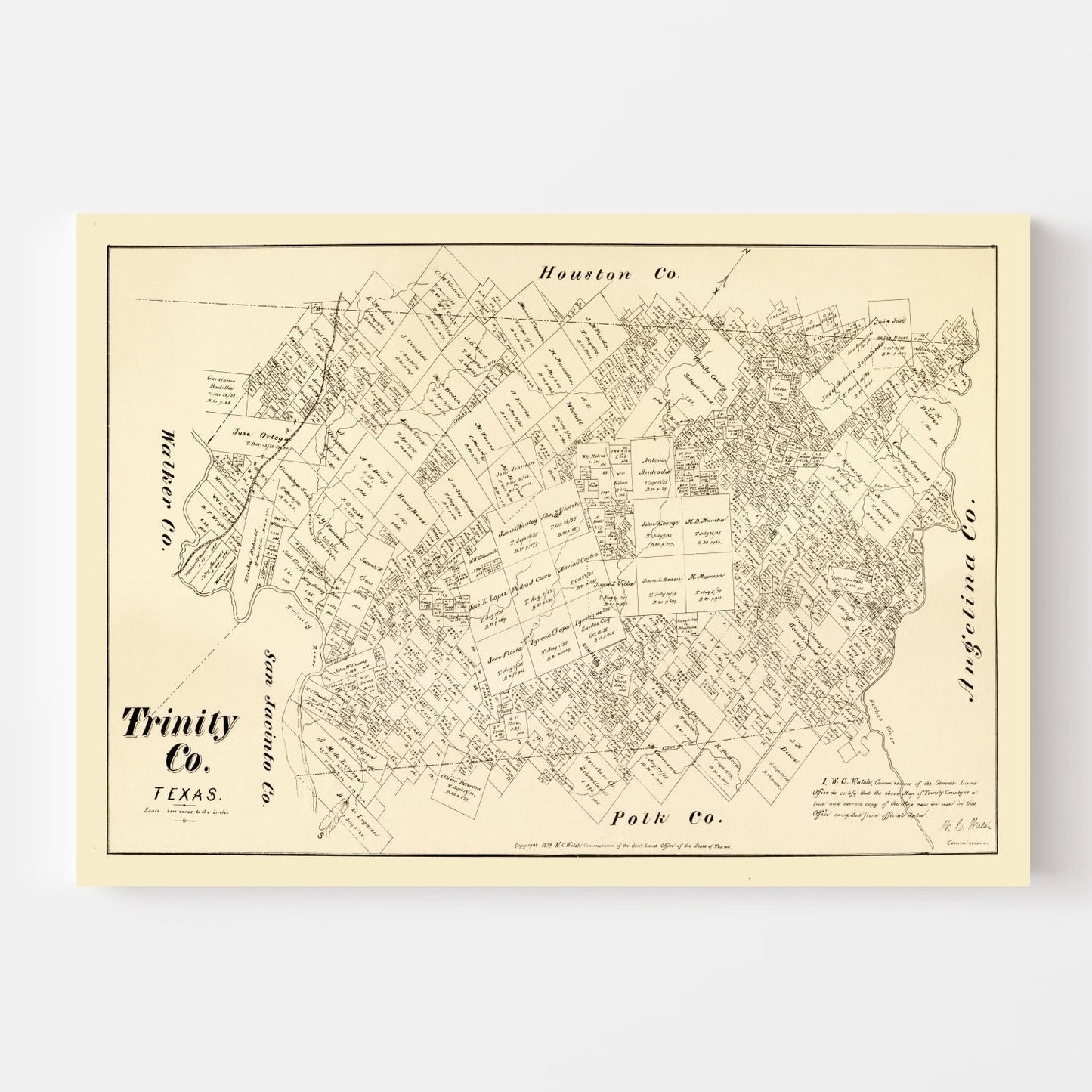 Vintage Map of Trinity County, Texas, 1879