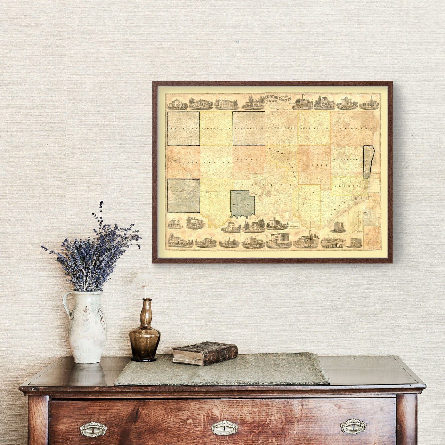 Vintage Map of Clinton County, Iowa, 1865