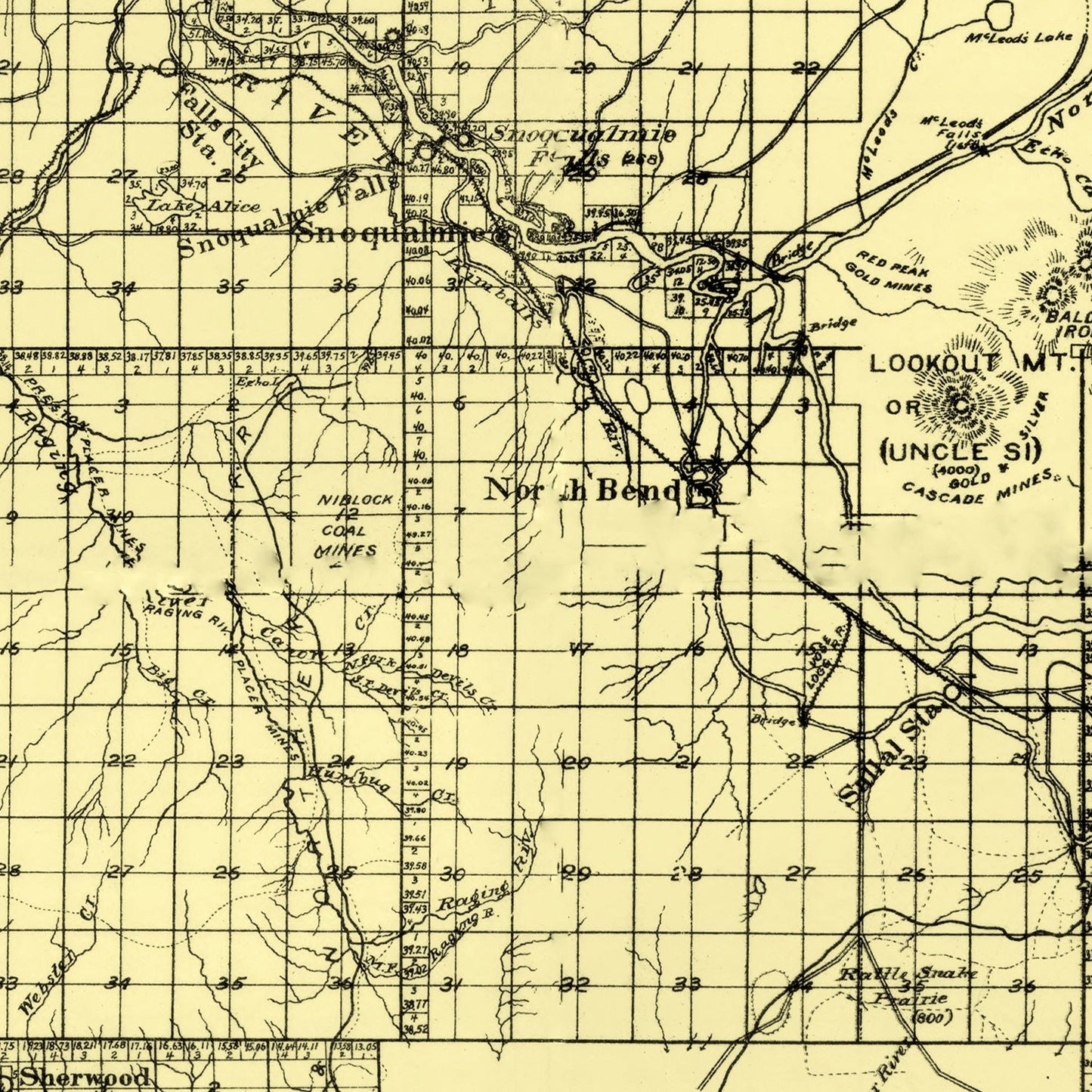 Vintage Map of King County, Washington, 1894