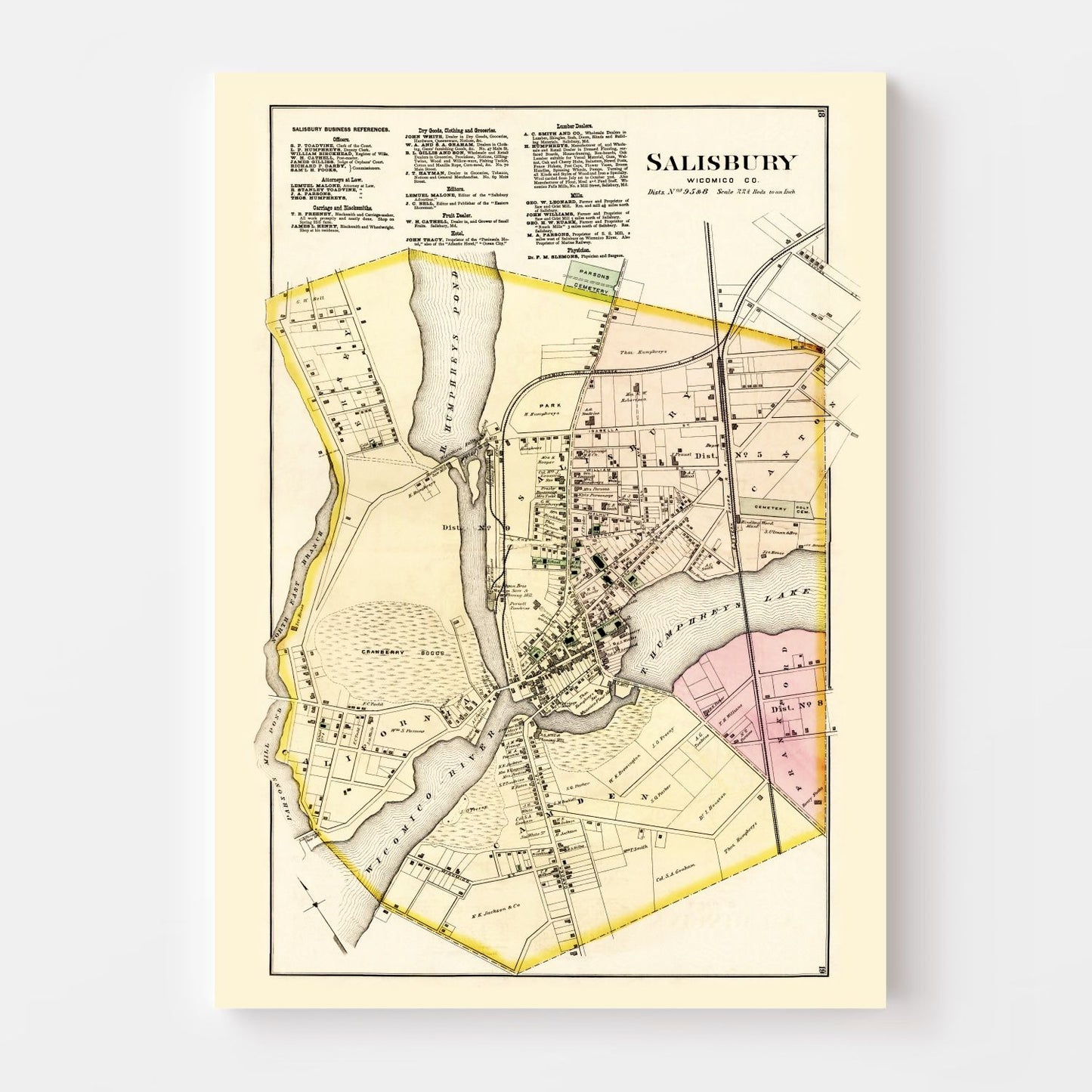 Vintage Map of Wicomico County, Maryland, 1877