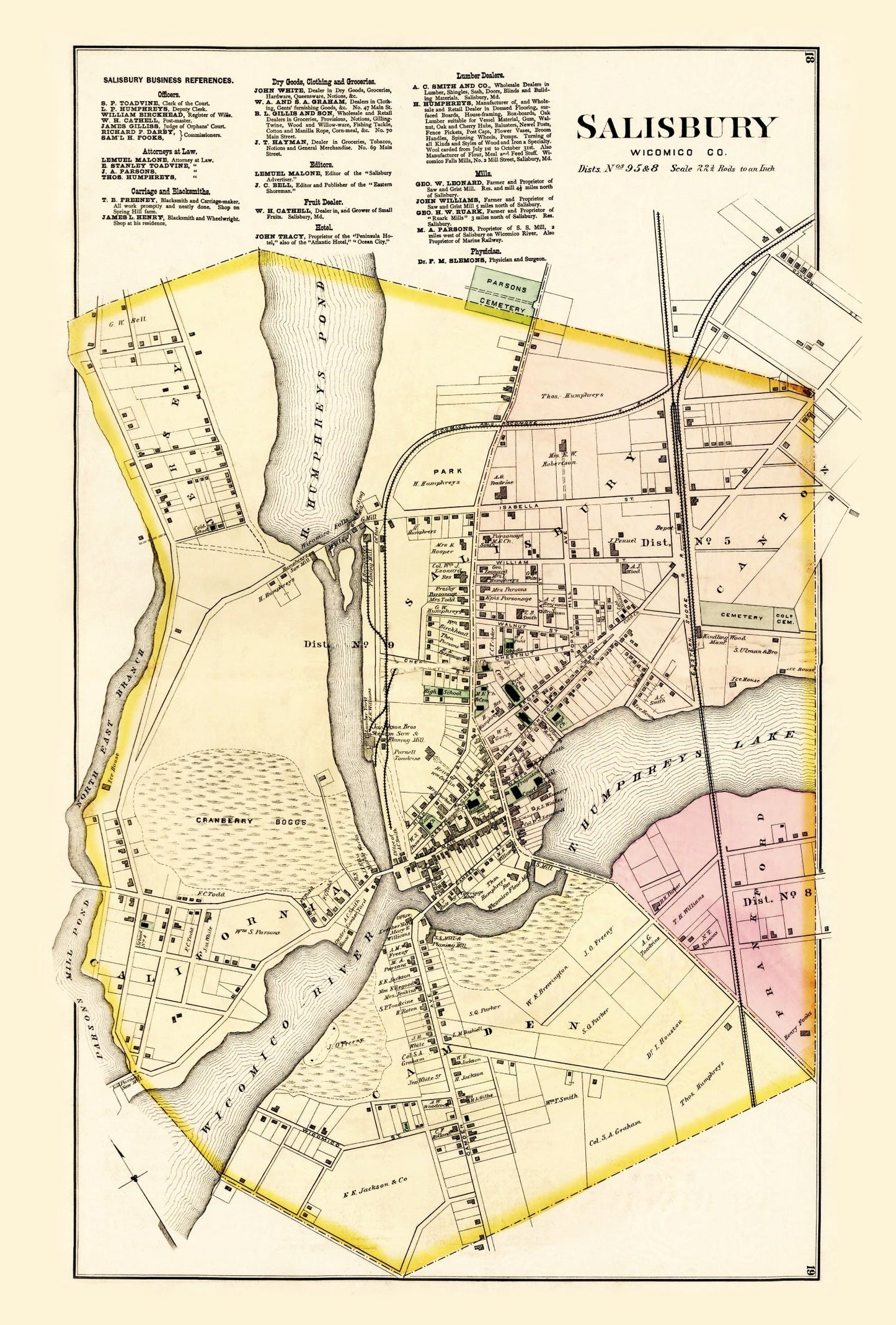 Vintage Map of Wicomico County, Maryland, 1877
