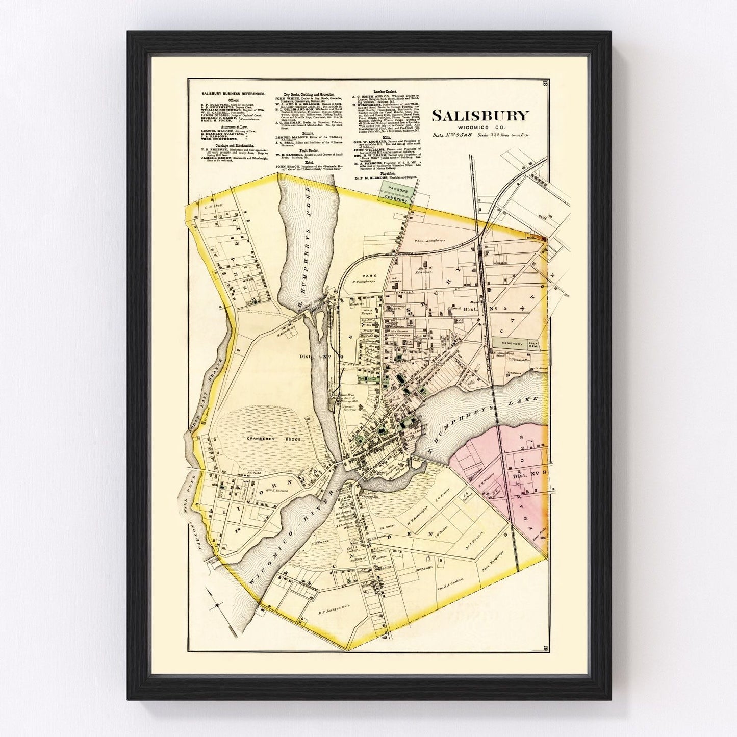 Vintage map of Wicomico County, Maryland, 1877, Eastern Shore farms and waterways