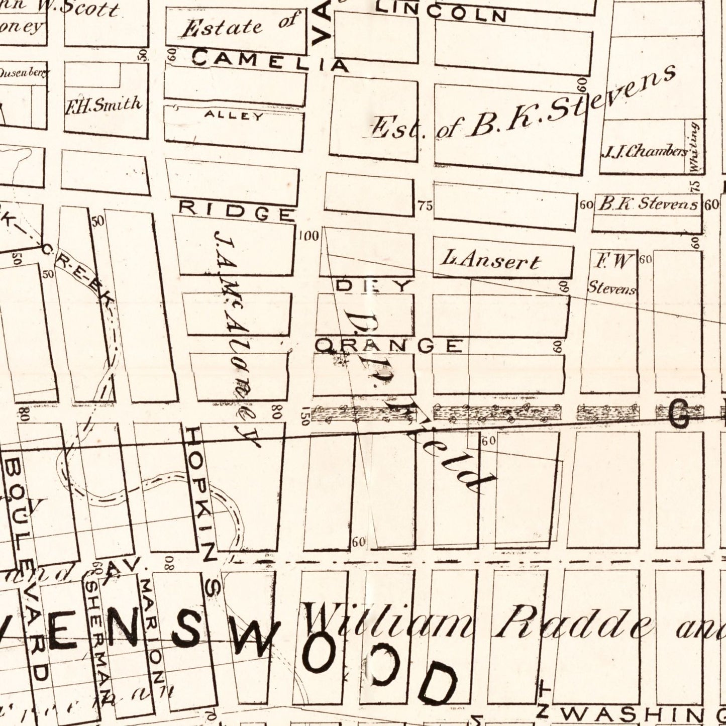 Vintage Map of Queens County, New York, 1874