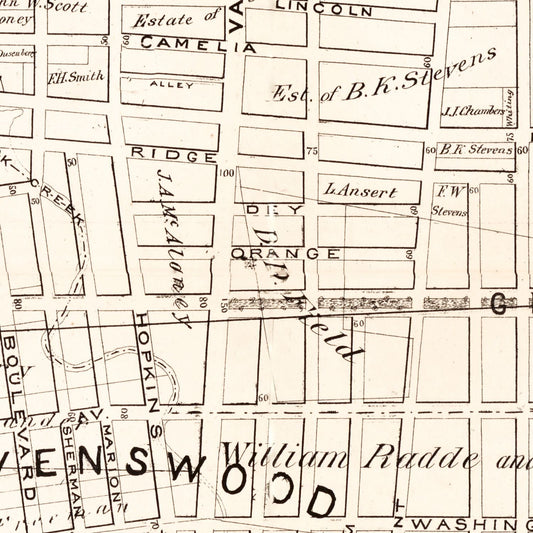 Vintage Map of Queens County, New York, 1874