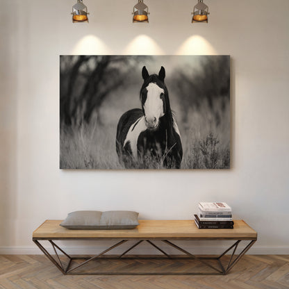 Wild Hearts Run Free Black and White Horse Wall Art