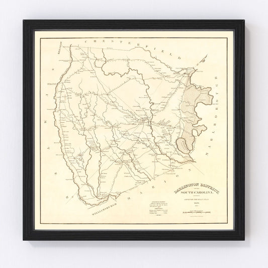 vintage map of Darlington District, South Carolina, 1825