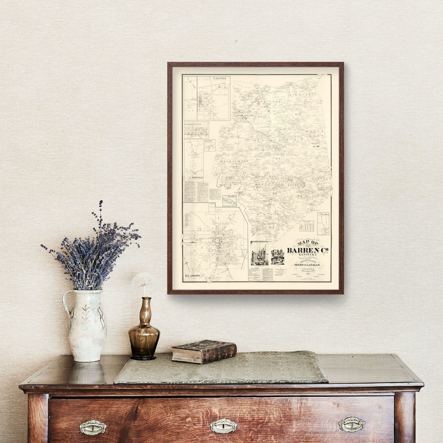 Vintage Map of Barren County, Kentucky, 1879 Wall Art