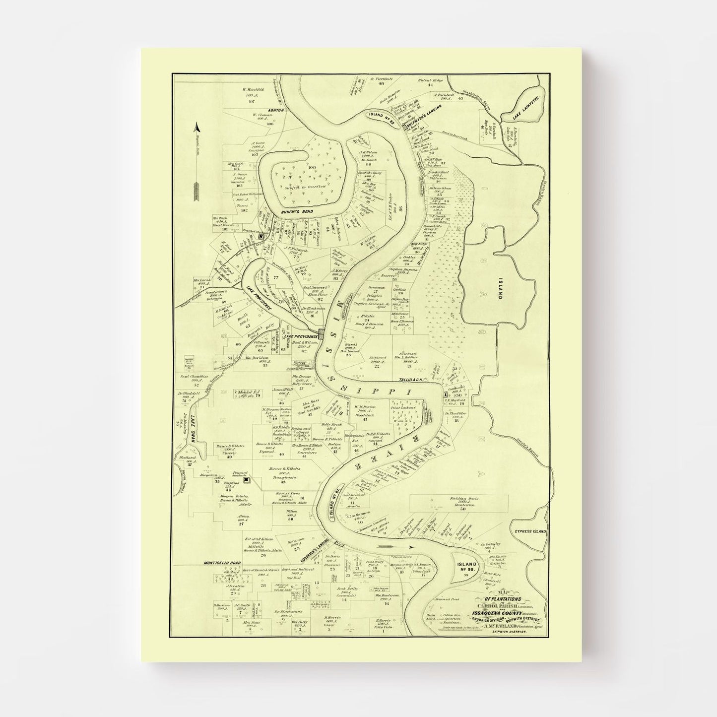 Vintage Map of Carroll Parish, Louisiana, 1860