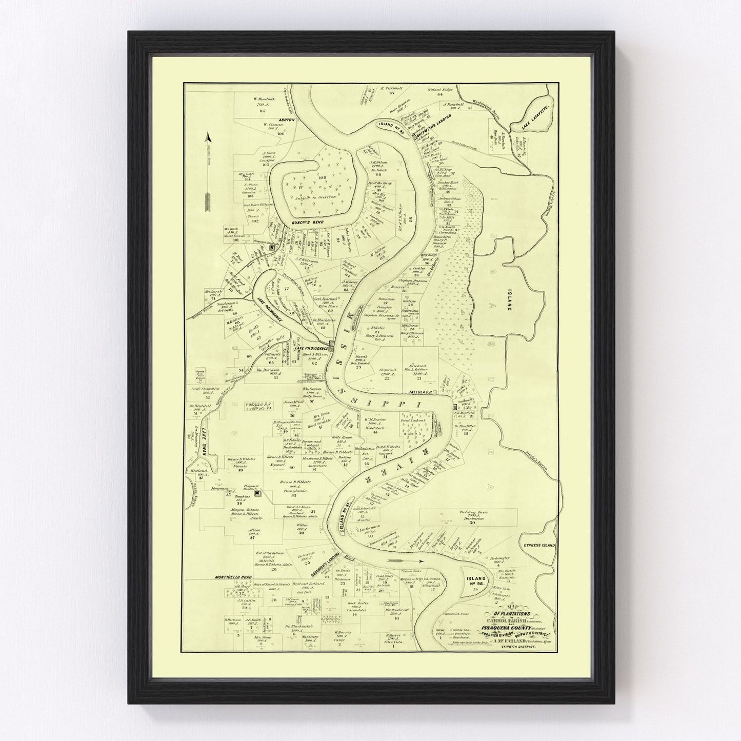 Vintage map of Carroll Parish, Louisiana, 1860, restored vintage wall art print