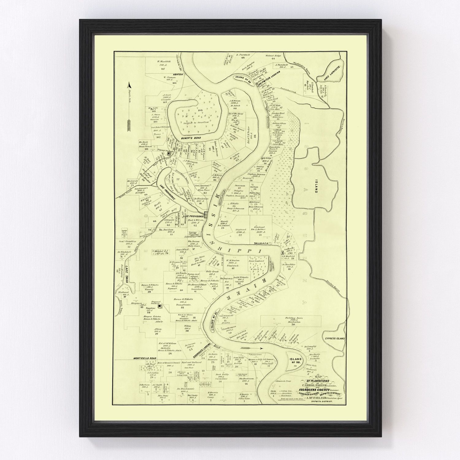 Vintage map of Carroll Parish, Louisiana, 1860, restored vintage wall art print