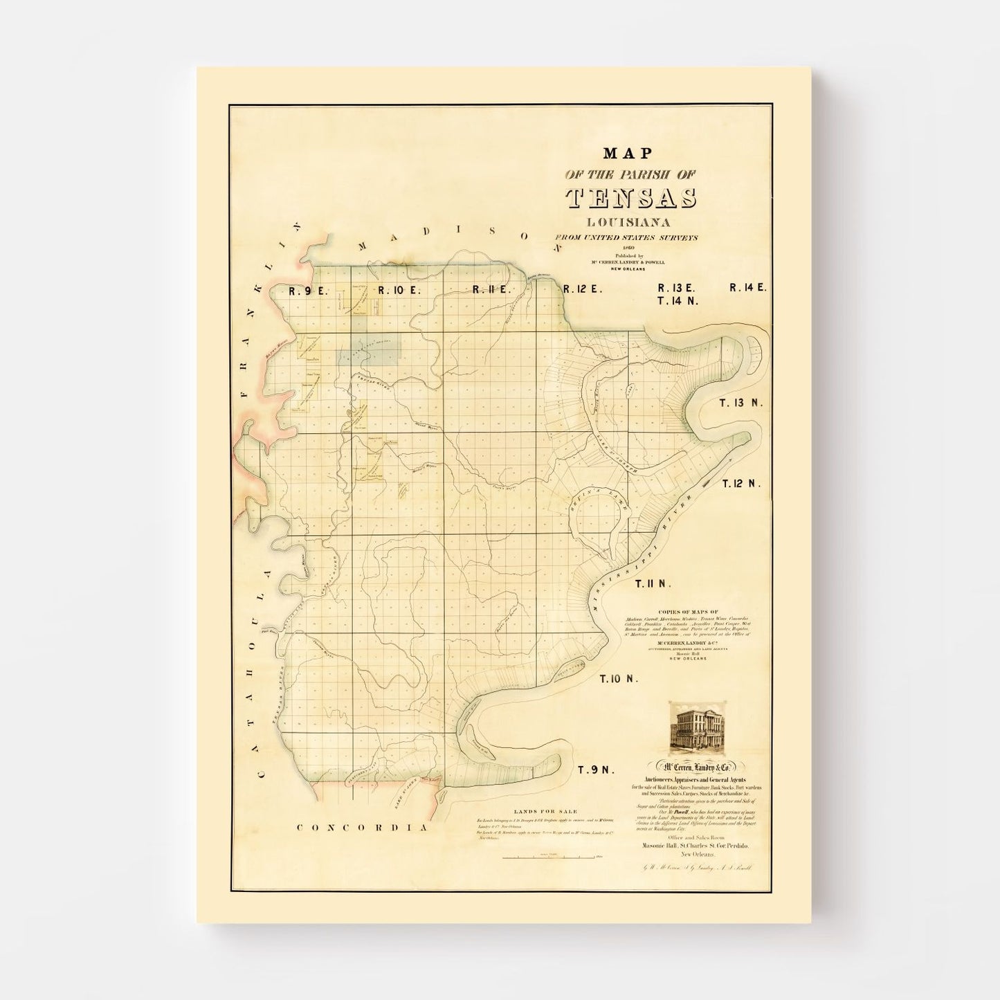 Vintage Map of Tensas Parish, Louisiana, 1860