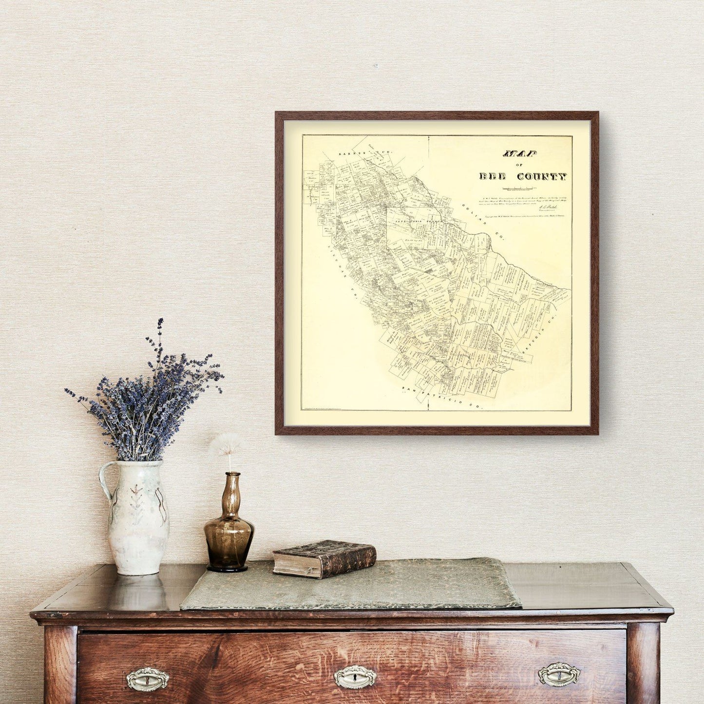 Vintage Map of Bee County, Texas, 1879