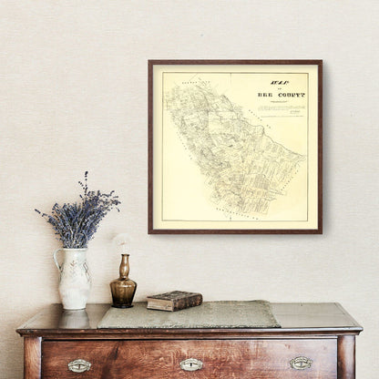 Vintage Map of Bee County, Texas, 1879
