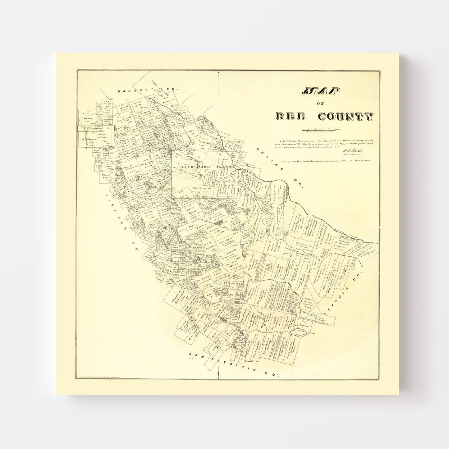 Vintage Map of Bee County, Texas, 1879