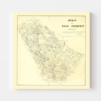 Vintage Map of Bee County, Texas, 1879