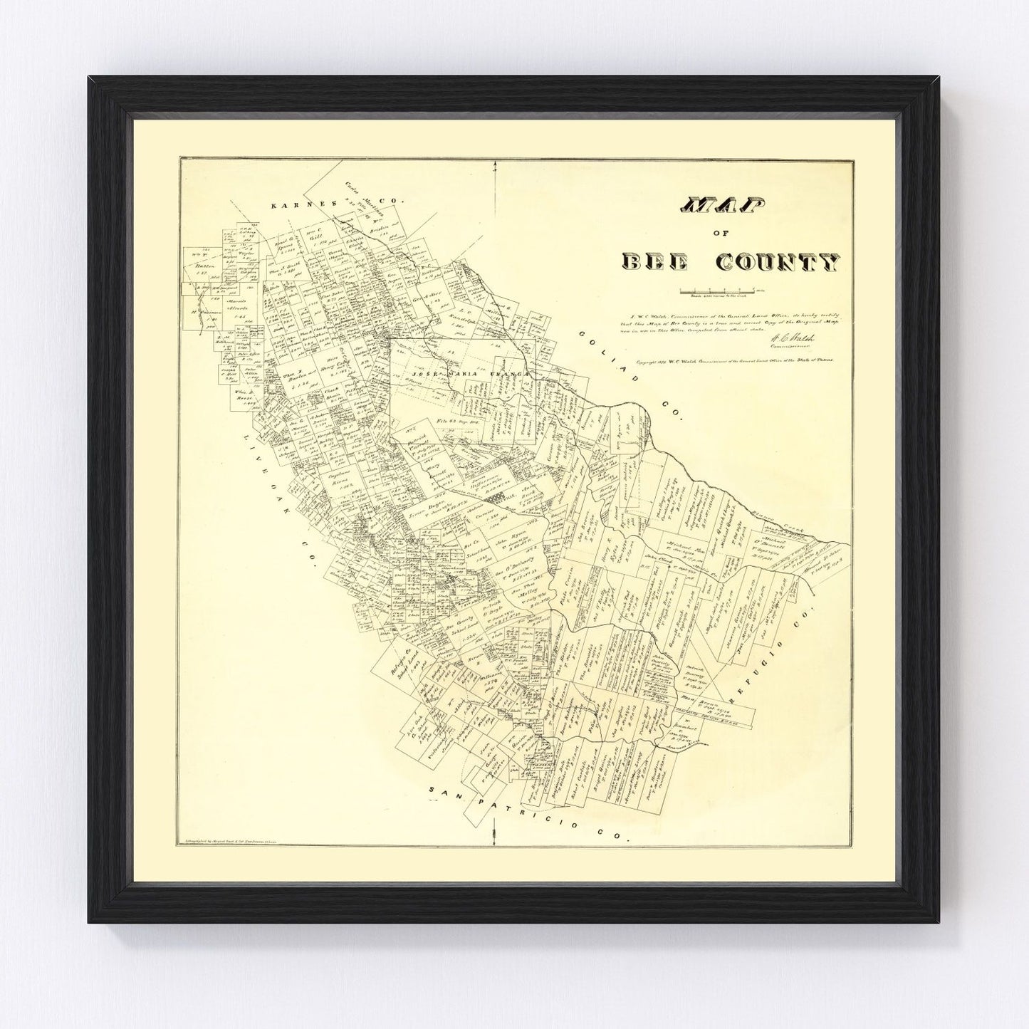 Vintage map of Bee County, Texas, 1879