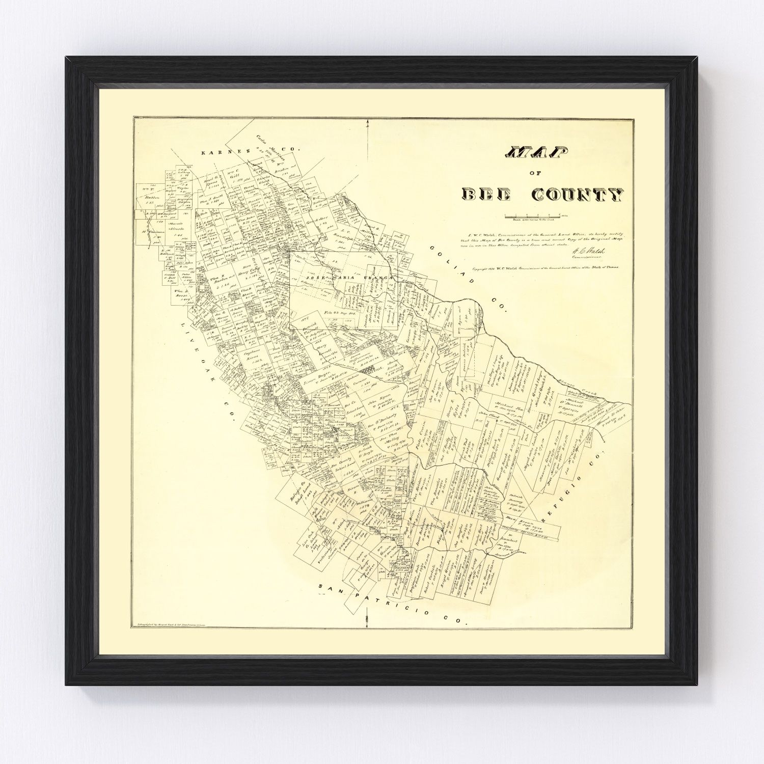Vintage map of Bee County, Texas, 1879