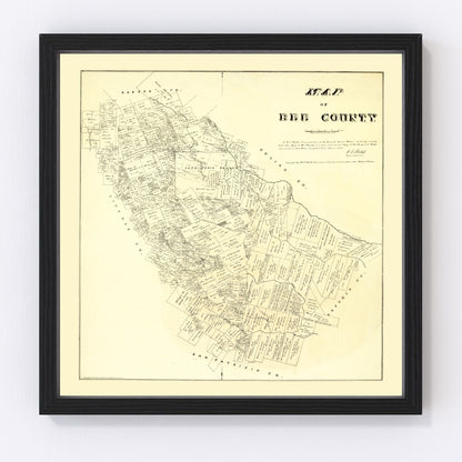 Vintage map of Bee County, Texas, 1879