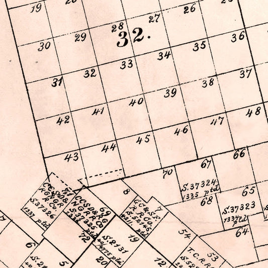 Vintage Map of Crane County, Texas, 1888