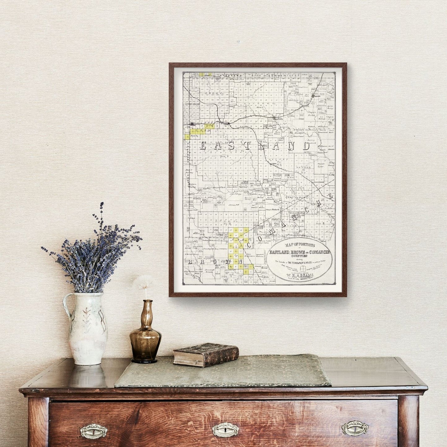 Vintage Map of Eastland County, Texas, 1890